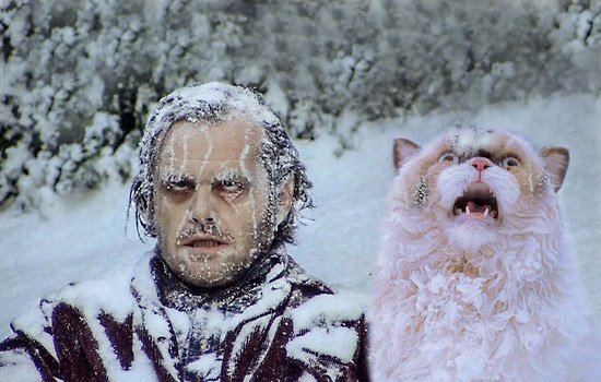 Джек Николсон сияние замерз