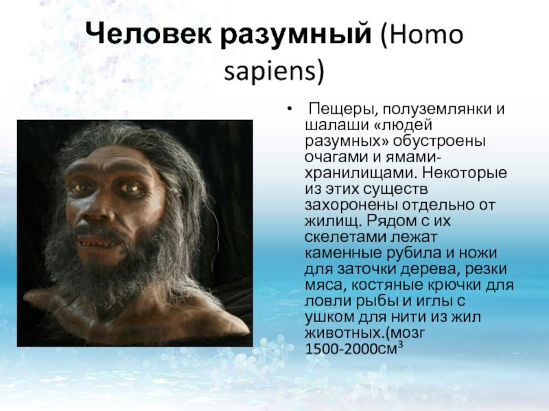 Первые хомо сапиенс