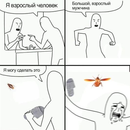 Популярные мемы на пикабу