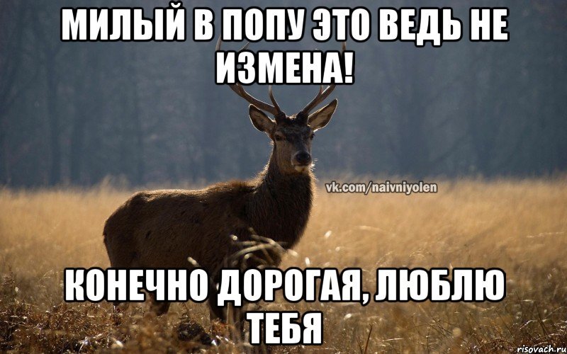 Наивный олень