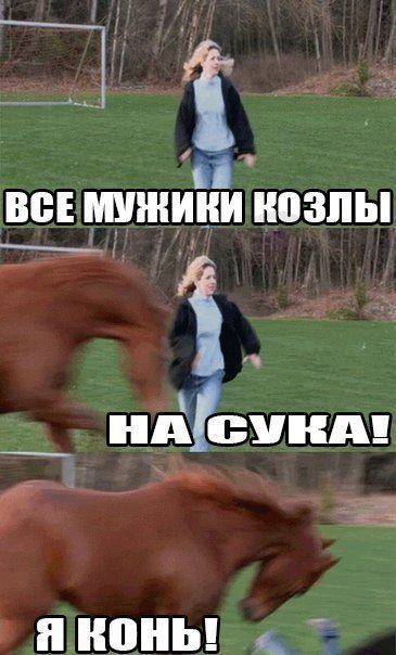 Конь и девушка