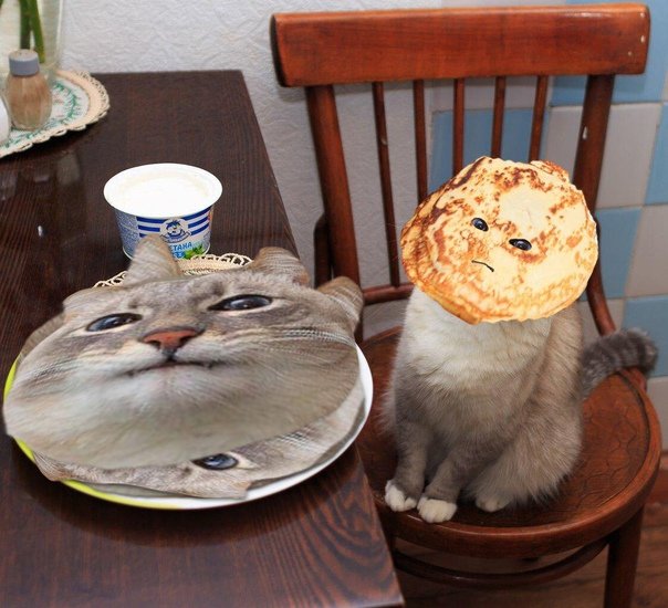 Доволный кот с блинамм