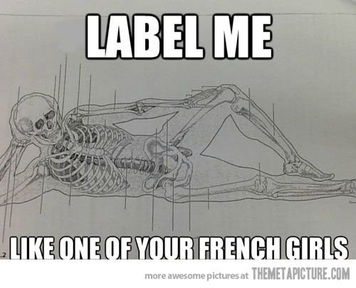 Анатомические шутки