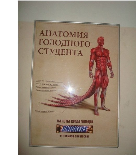 Мемы про анатомию