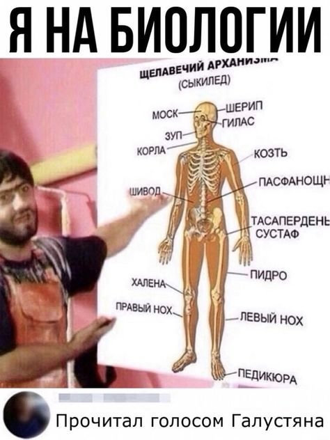 Поколение которое покупало дипломы