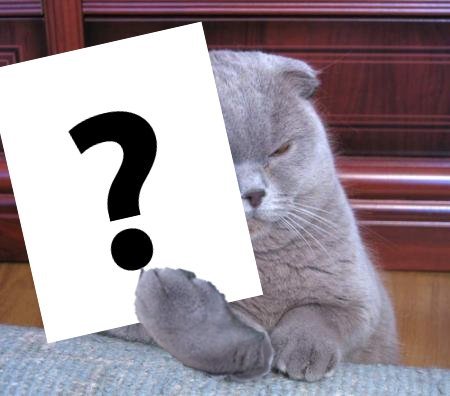 Кот со знаком вопроса