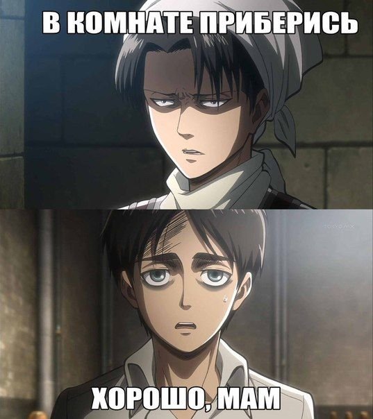 Атака титанов мемы с Леви