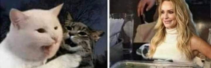 Мем женщина и кот