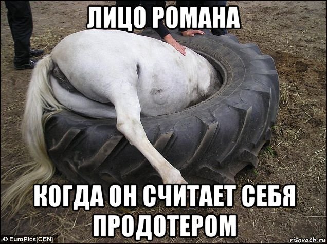 Roman Мем