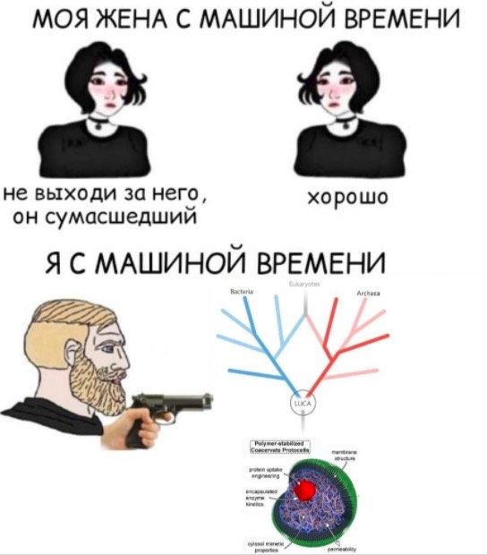 Мем про машину времени парни девушки