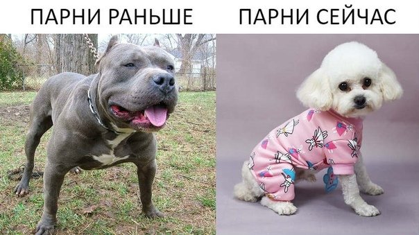 Мужики раньше и сейчас