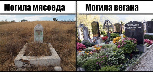 Смешные могилы