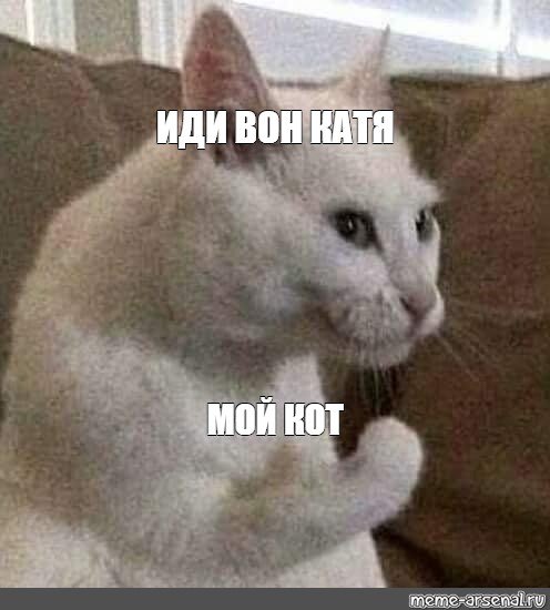 Плачущий кот