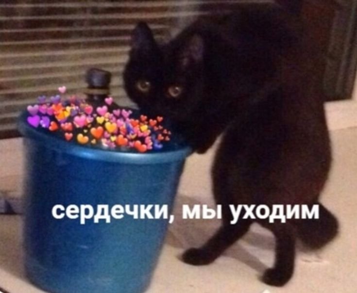 Собирайтесь сердечки мы уходим Мем с котом