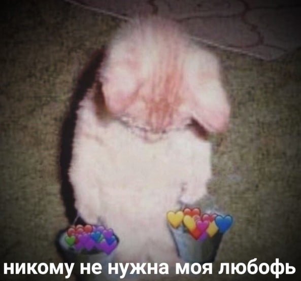 Кот с ведерками с сердечками