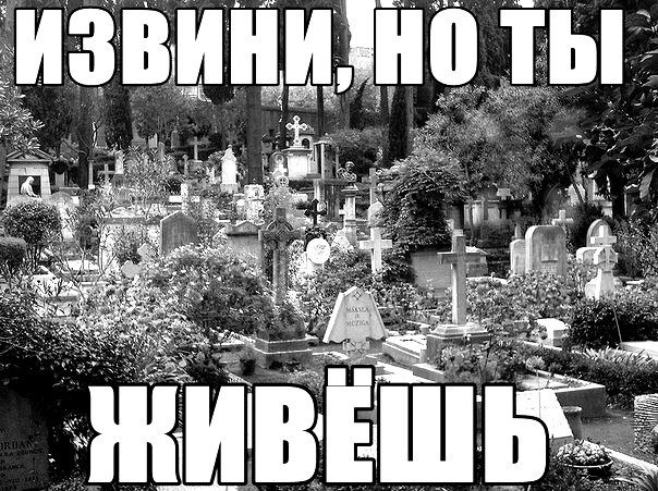 Приколы про кладбище
