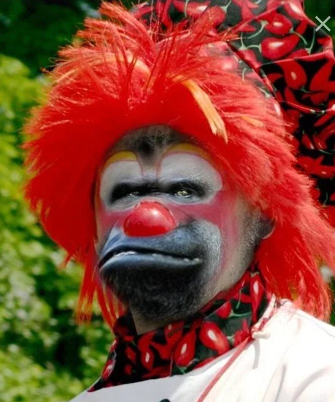 Макака клоун