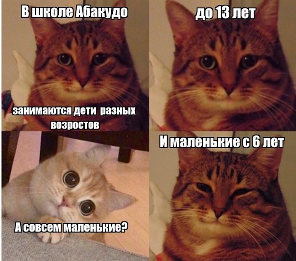 Кот Мем