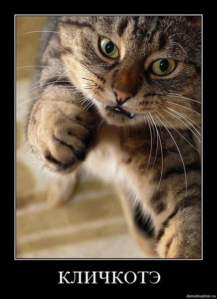 Кулак кошки