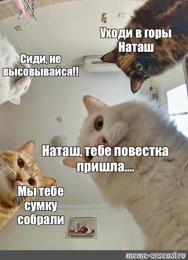Мы уходим Мем с котом