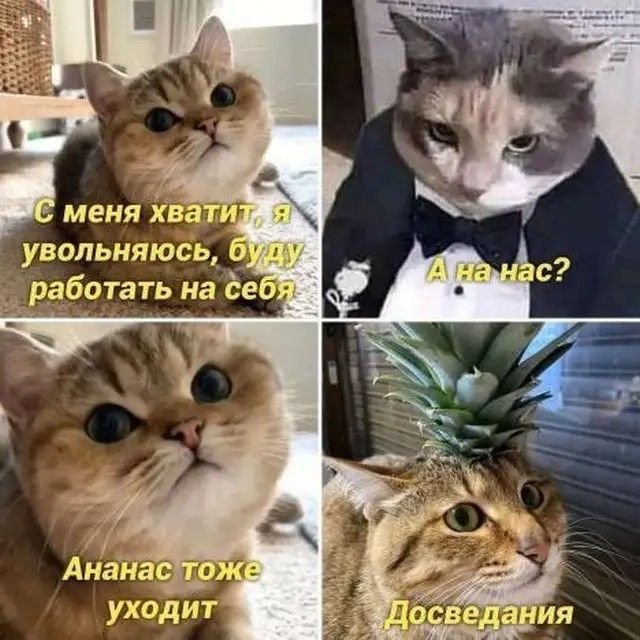 Ананас тоже уходит