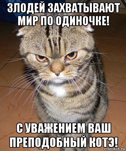 Кот злодей Мем