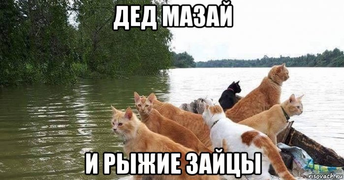 Дед Мазай и коты