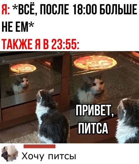 Кот и пицца Мем
