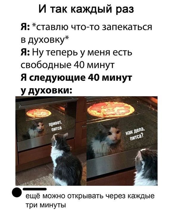 Ну Здравствуй питса