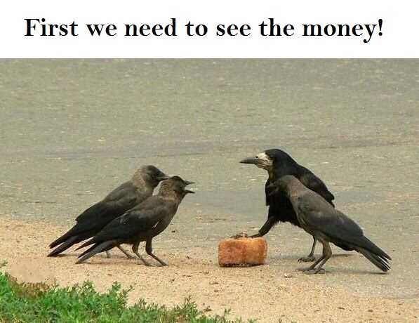 С вороной и девушкой