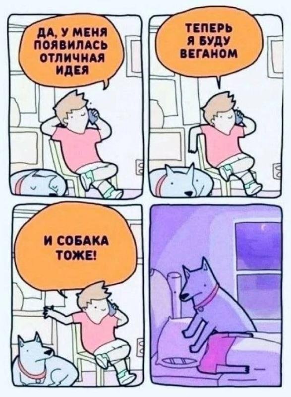 Стал веганом собака тоже