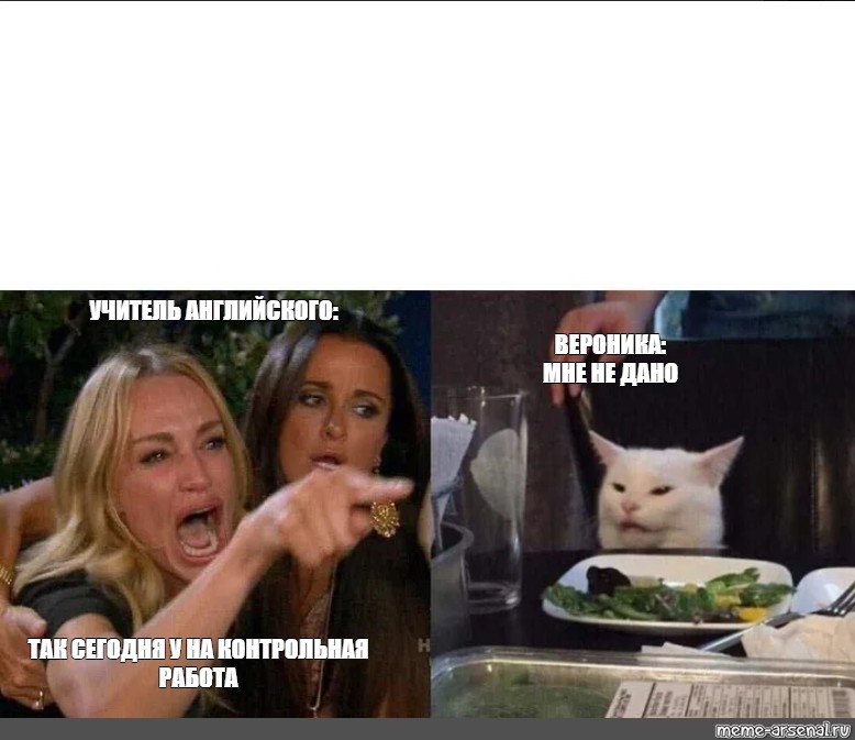 Кот учитель Мем