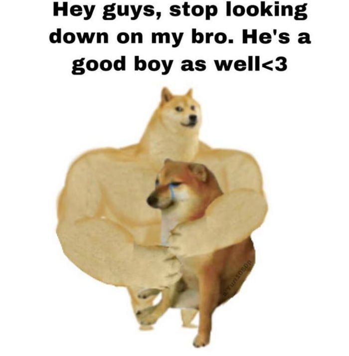 Собака Мем