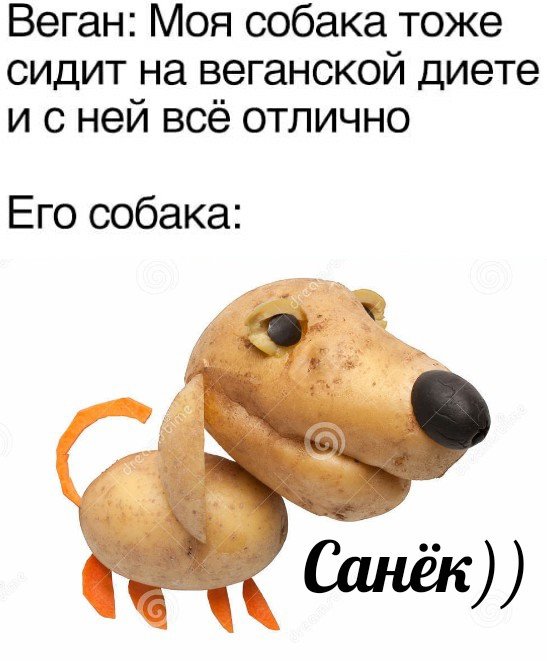 Собака веган