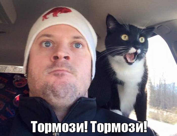 Тормоз человек