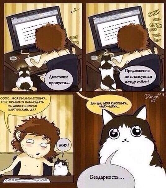 Котики мемы программирование