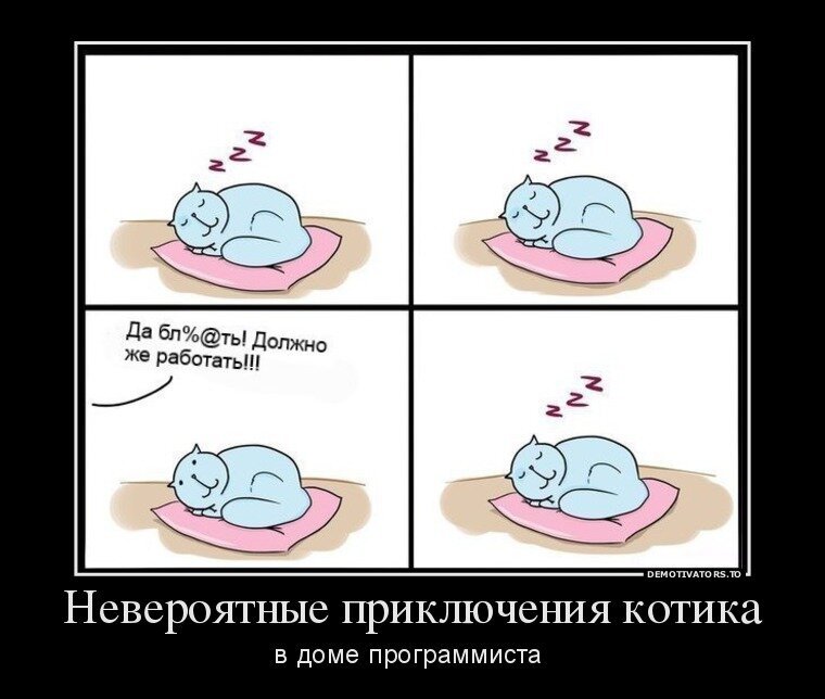 Мемы про программистов с котиками