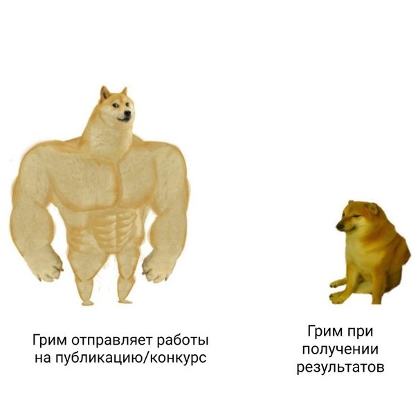 Пес качок Мем