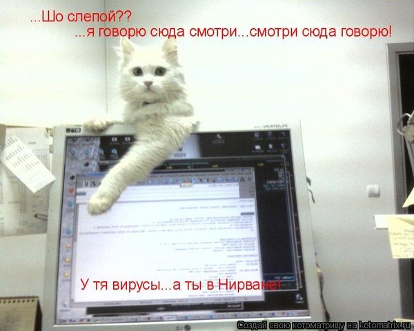 Приколы про программистов