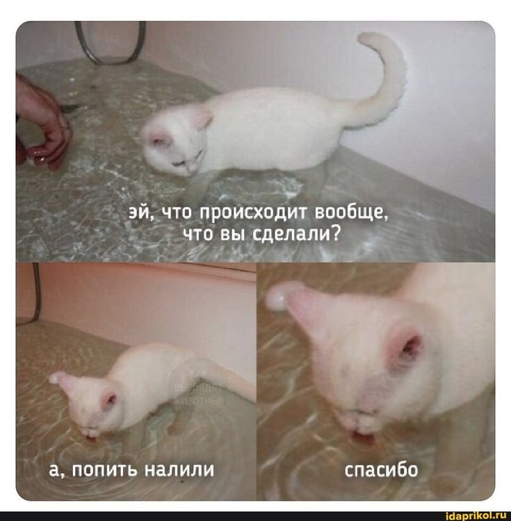 А попить налили спасибо