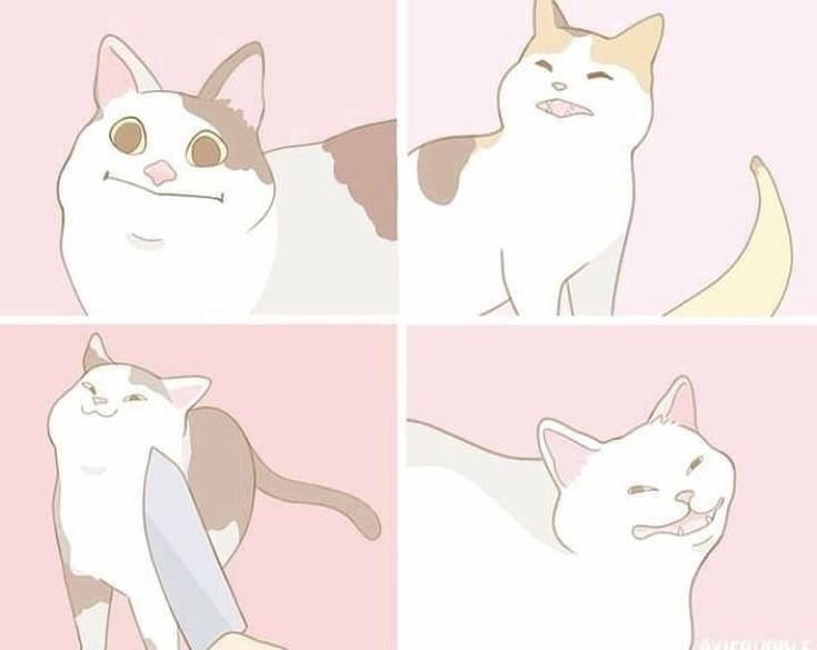 Кот Мем арт