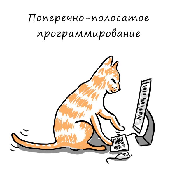 Кот программист