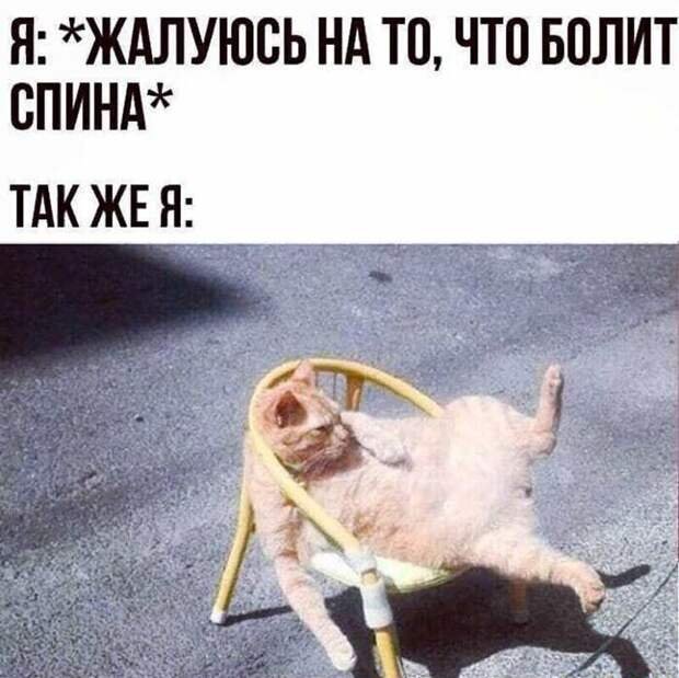 Картинка смешная про поясницу