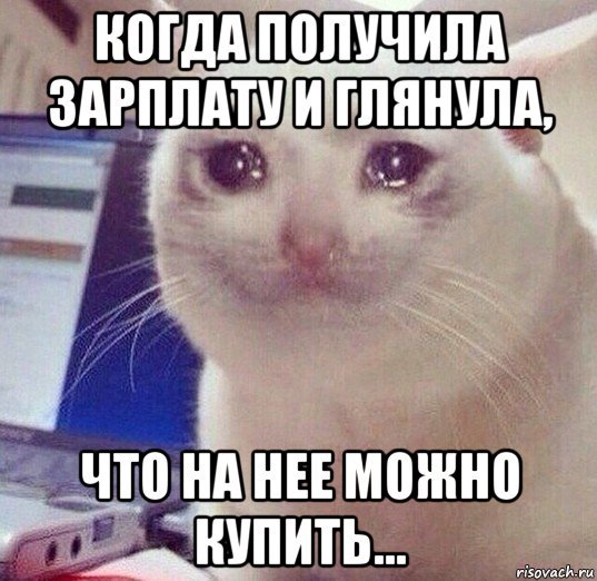 Мемы с котом