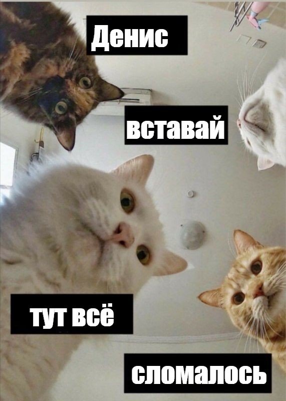 С днем рождения Наташа котики Мем