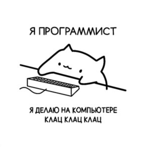 Кот программист