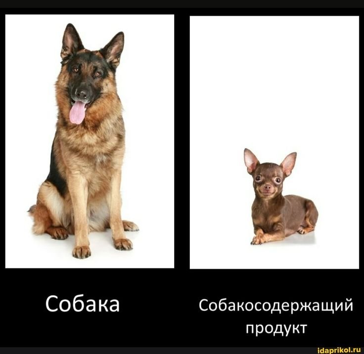 Собакосодержащий продукт