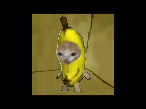 Котёнок в костюме бонана