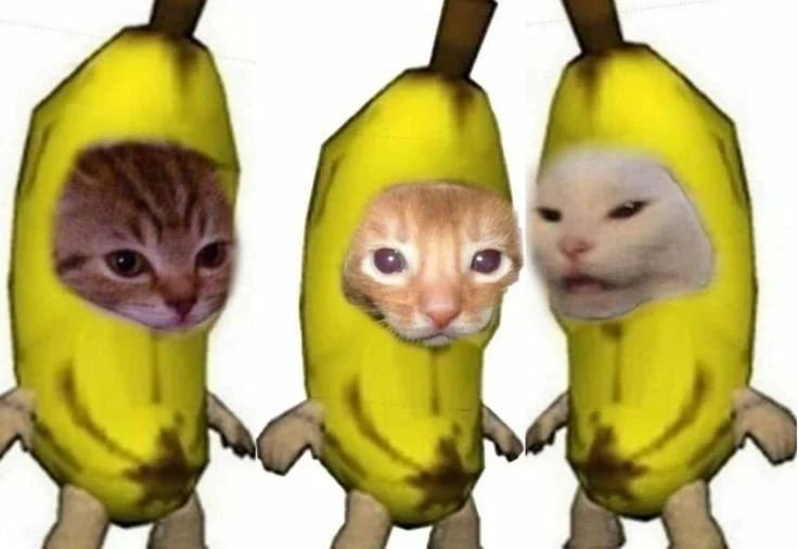 Котик в костюме банана