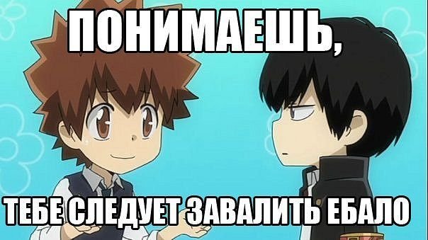 Аниме оскорбления